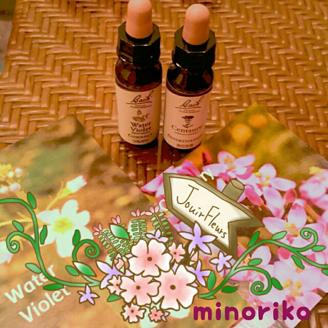 f:id:happywhiteflower:20160718133050j:image f:id:happywhiteflower:20160718133050j:image