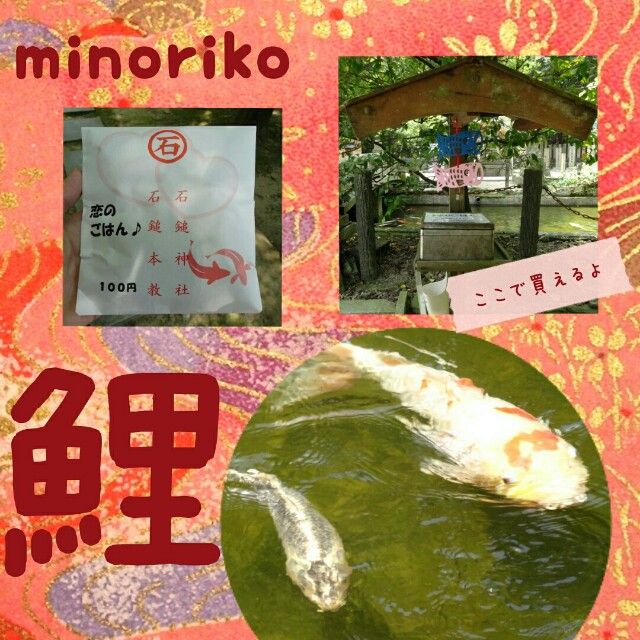 f:id:happywhiteflower:20160723231422j:image f:id:happywhiteflower:20160723231422j:image