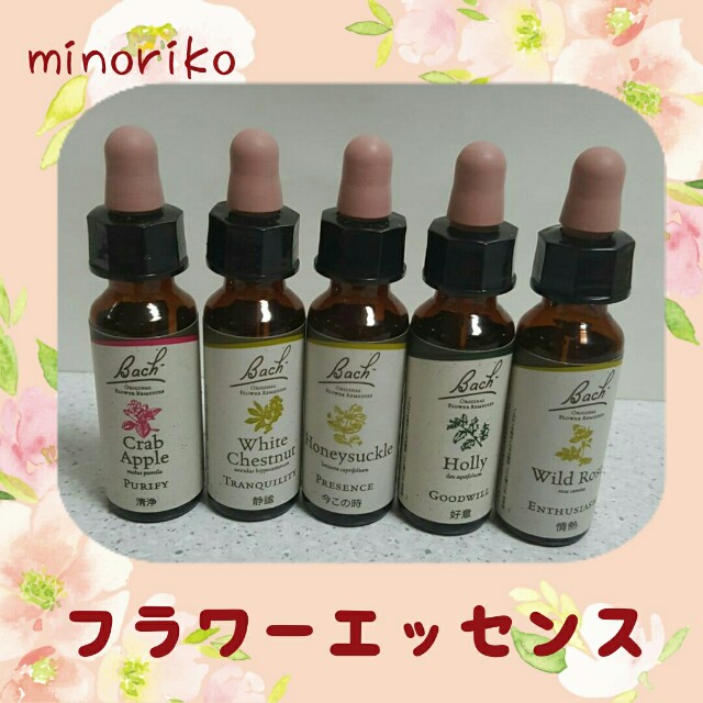 f:id:happywhiteflower:20160727082003j:image f:id:happywhiteflower:20160727082003j:image