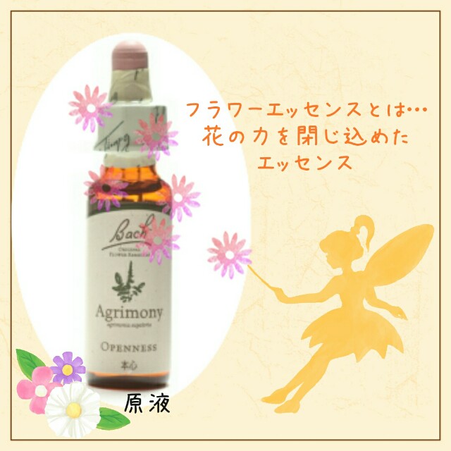f:id:happywhiteflower:20160802194145j:image f:id:happywhiteflower:20160802194145j:image