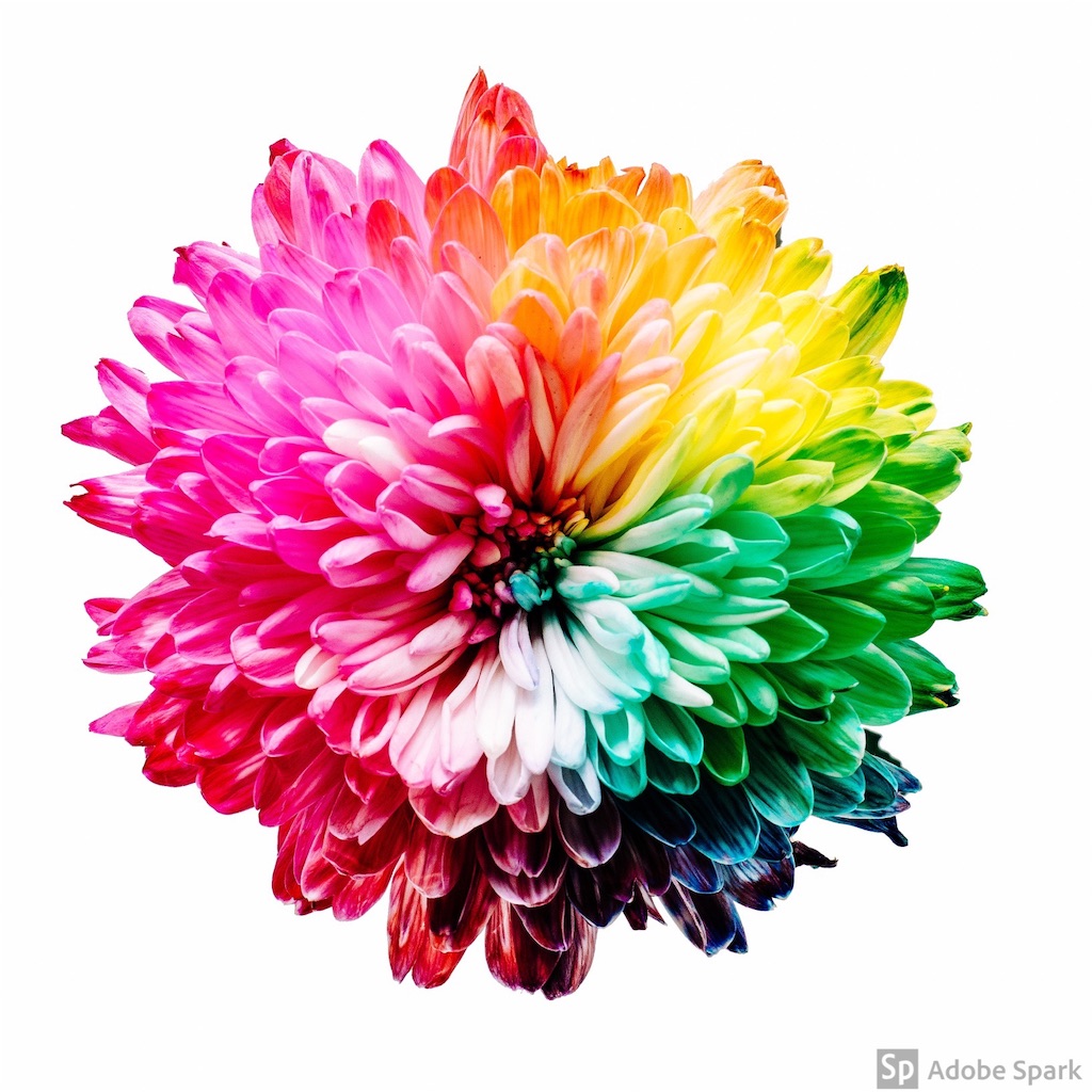 f:id:happyyukihana:20190414122954j:image f:id:happyyukihana:20190414122954j:image