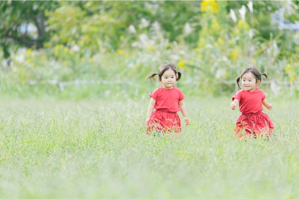 f:id:haprap:20200821230457j:image f:id:haprap:20200821230457j:image