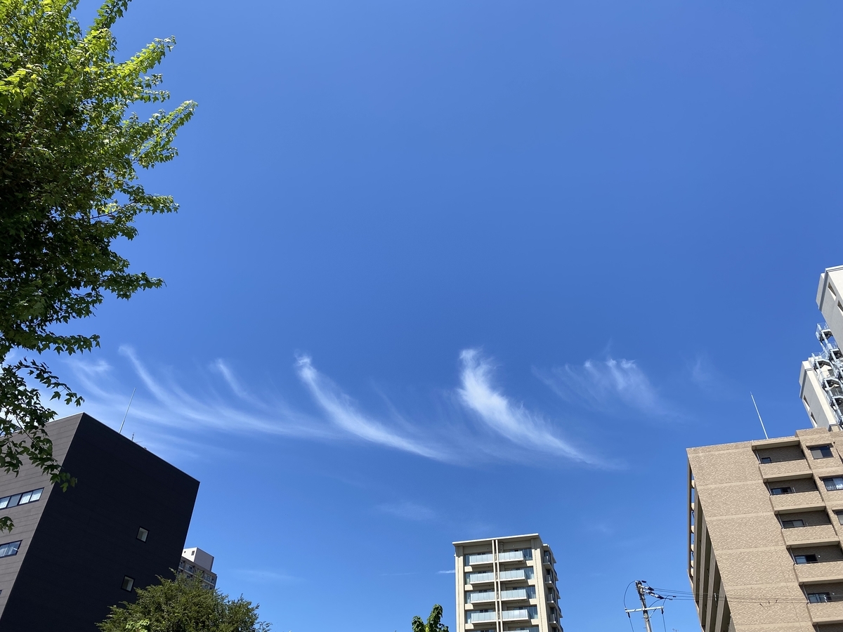 f:id:harada0205:20210919064742j:plain