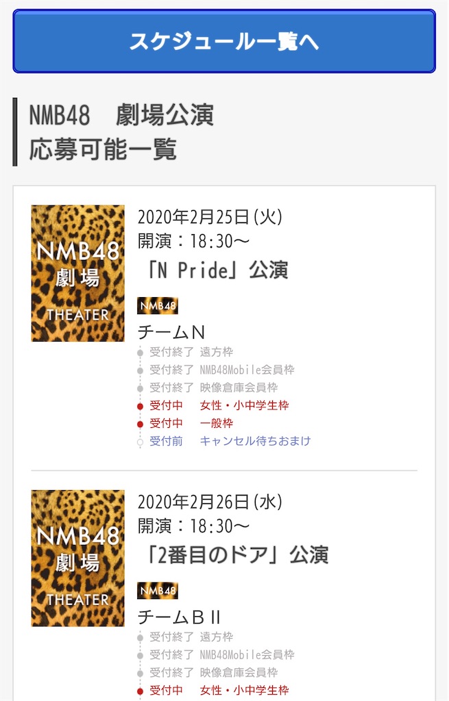 初めてのnmb48劇場公演女性枠 チケット応募から当日の流れをおさらい 一振りにかける