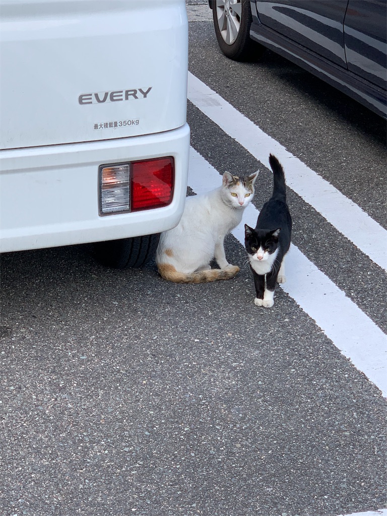 f:id:harada5011:20191115221720j:image f:id:harada5011:20191115221720j:image