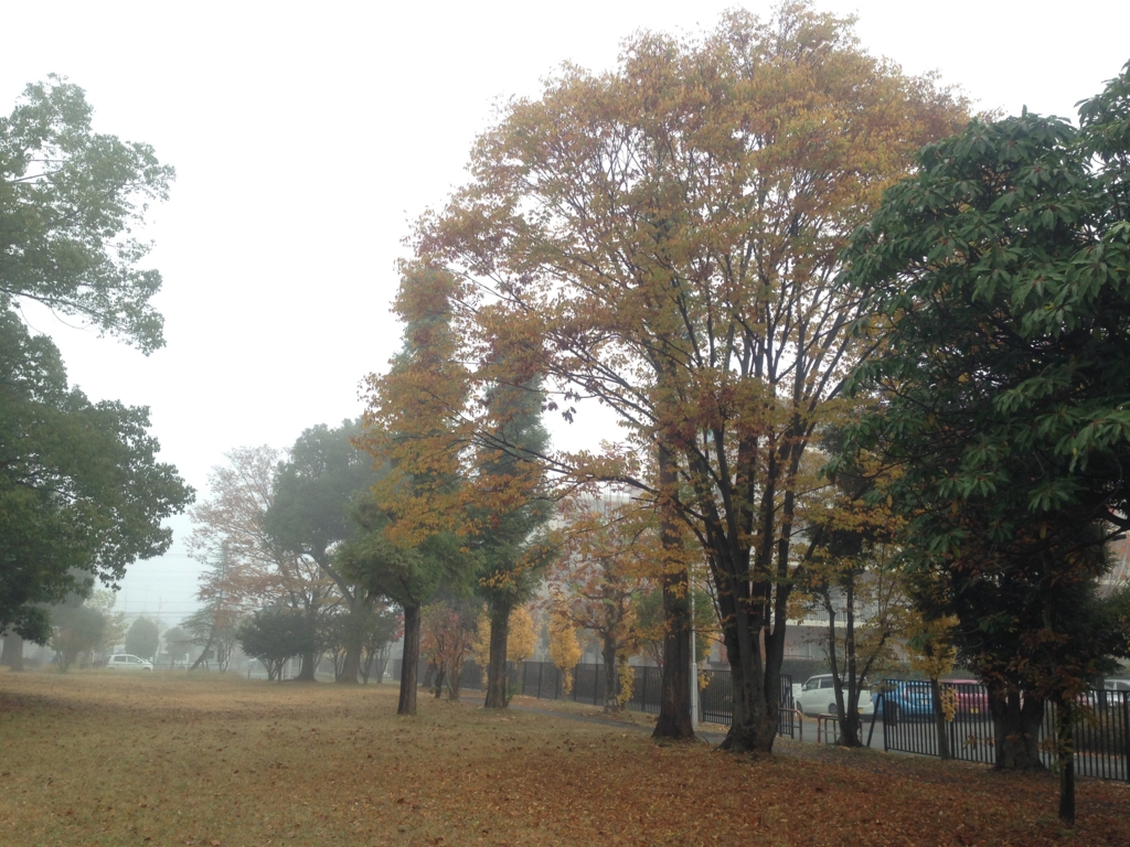 f:id:haradamasaru:20161121121605j:plain