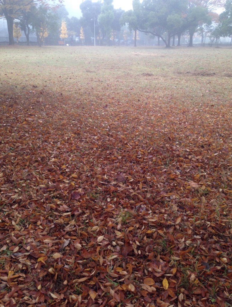 f:id:haradamasaru:20161121121811j:plain