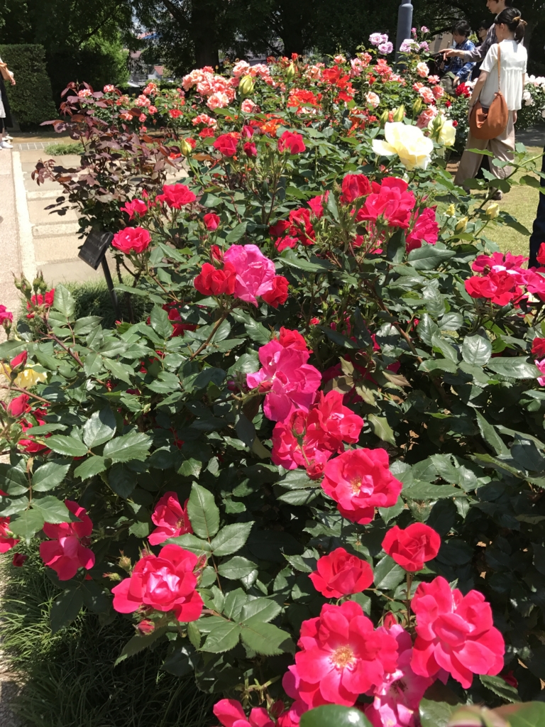 f:id:haradamasaru:20170521230638j:plain f:id:haradamasaru:20170521230638j:plain