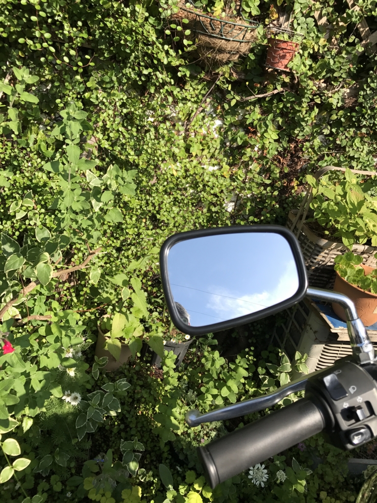 f:id:haradamasaru:20170522192519j:plain