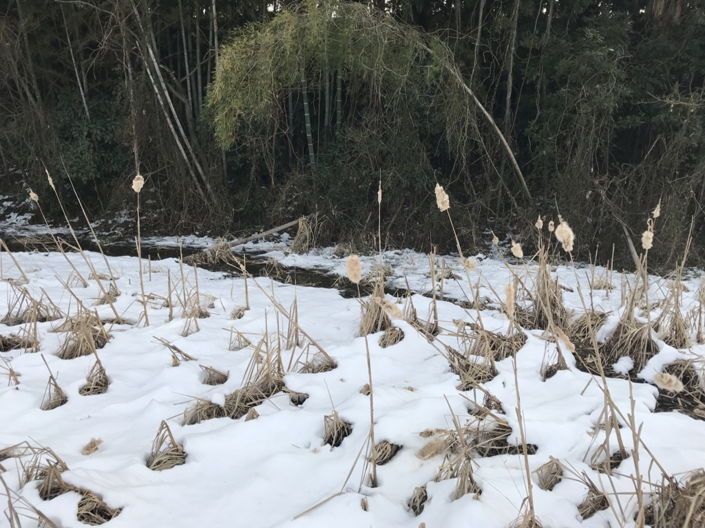 f:id:haradamasaru:20180131160908j:plain f:id:haradamasaru:20180131160908j:plain