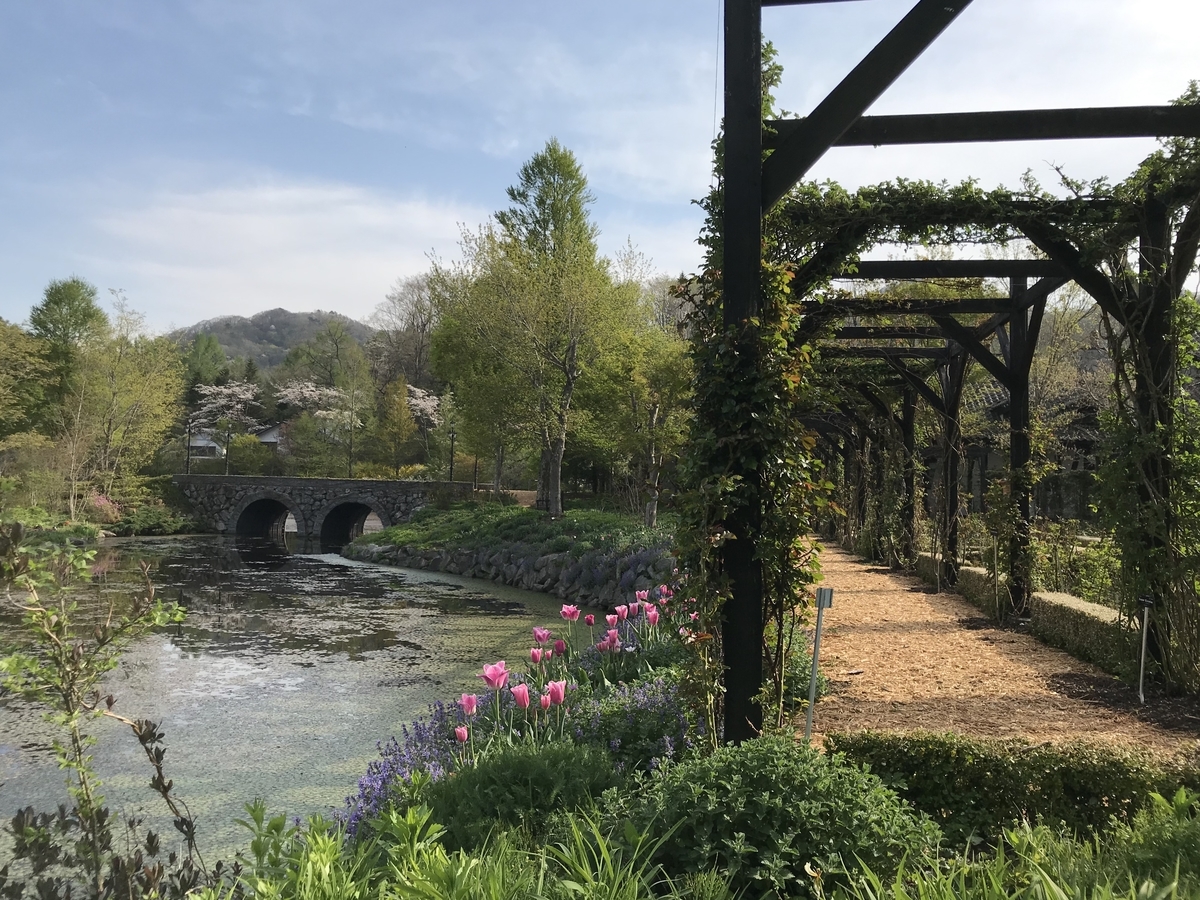 f:id:haradamasaru:20190512205332j:plain