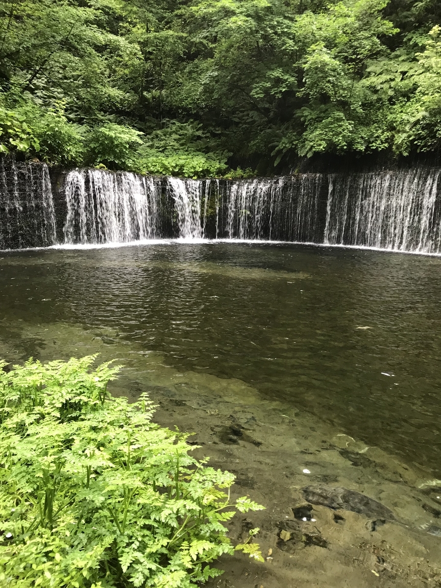 f:id:haradamasaru:20190725211455j:plain f:id:haradamasaru:20190725211455j:plain