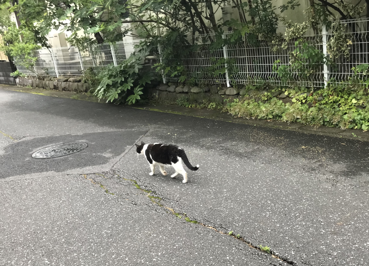 f:id:haradamasaru:20210630224942j:plain