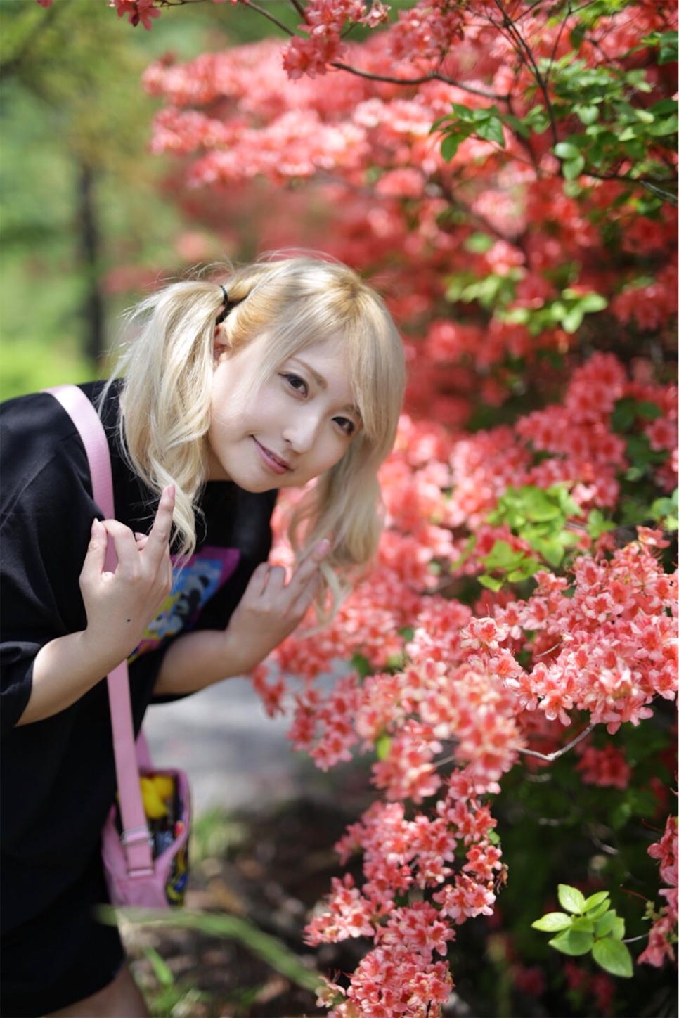 f:id:haradanzzz:20180606194222j:image
