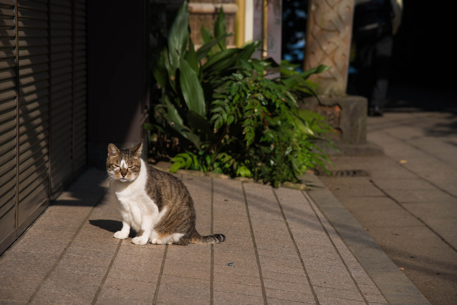 f:id:haradesugi:20160502214328j:plain f:id:haradesugi:20160502214328j:plain