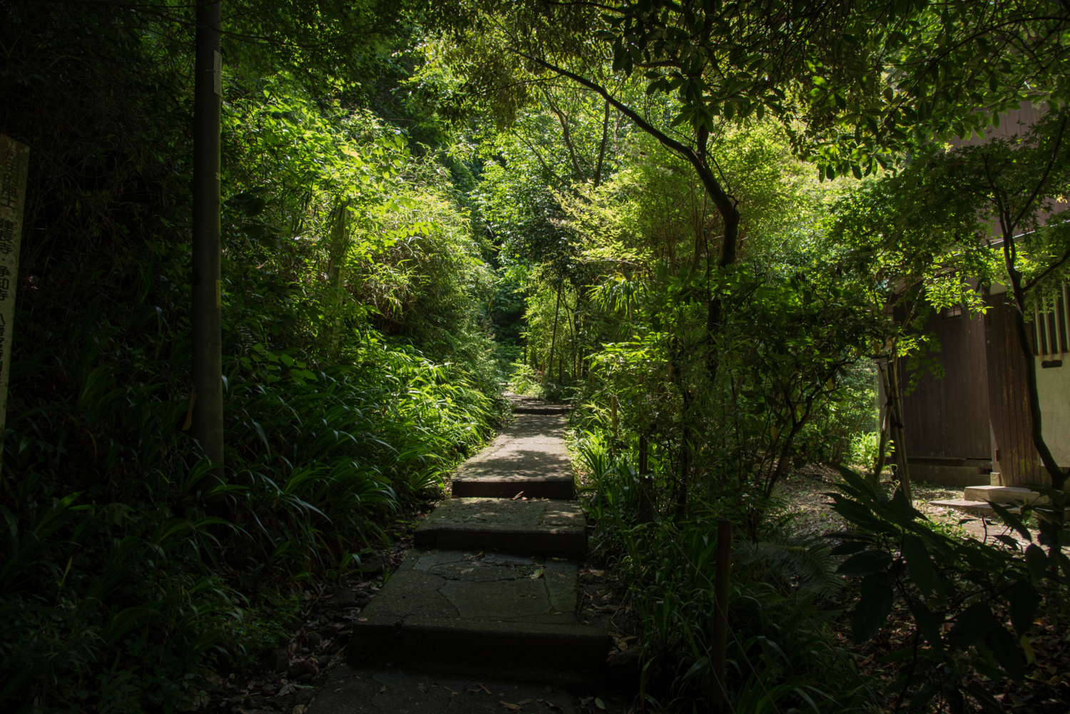 f:id:haradesugi:20160530222622j:plain