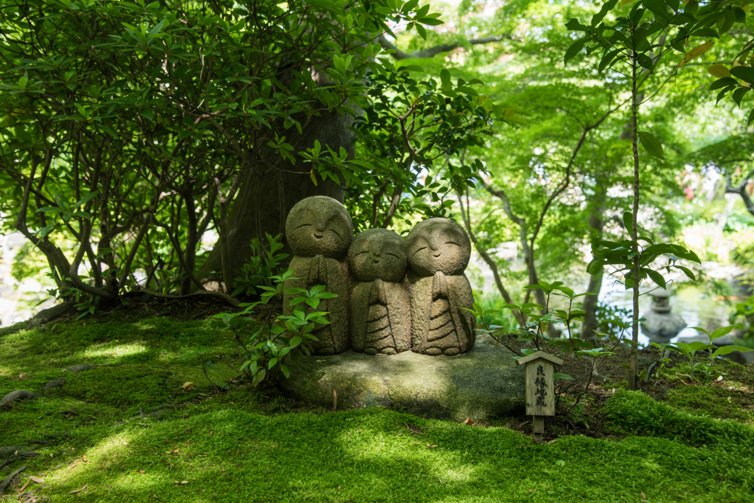 f:id:haradesugi:20160530222710j:plain