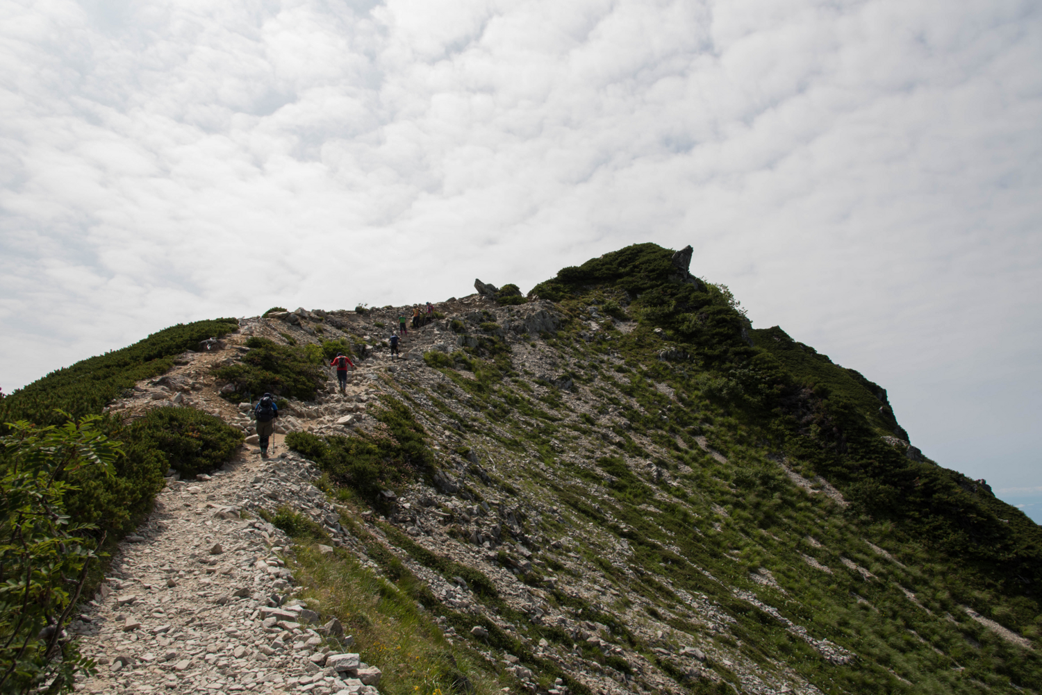 f:id:haradesugi:20160812170932j:plain