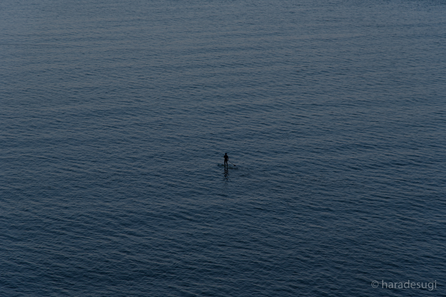 f:id:haradesugi:20170305145122j:plain f:id:haradesugi:20170305145122j:plain