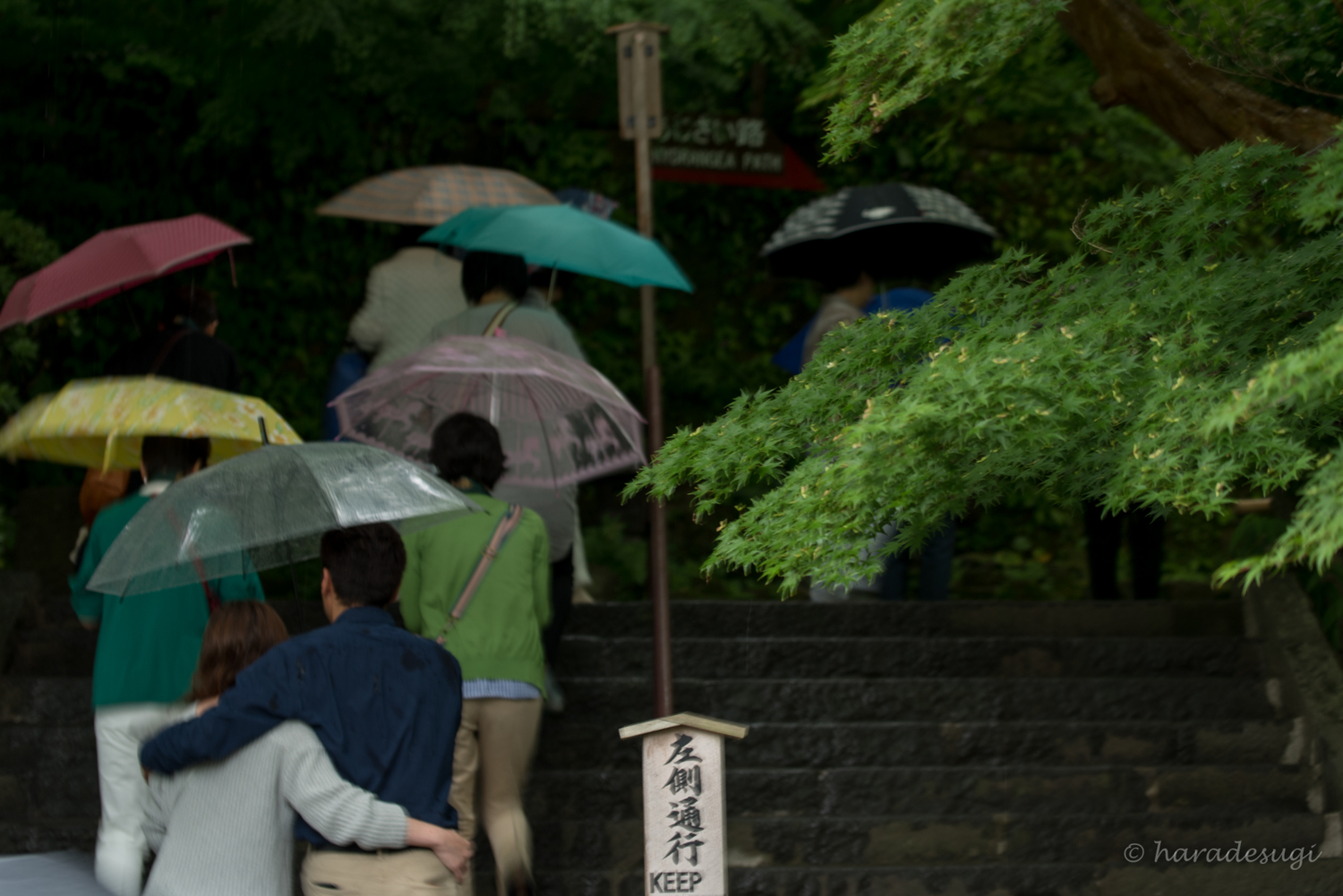 f:id:haradesugi:20170608204502j:plain