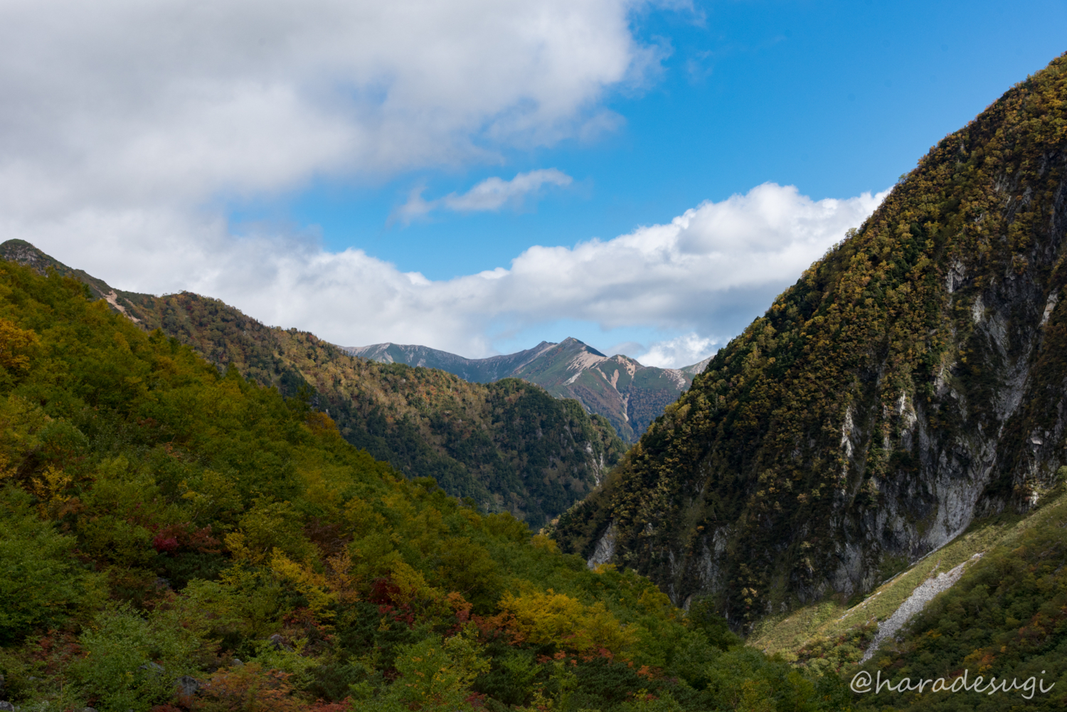 f:id:haradesugi:20170930180853j:plain