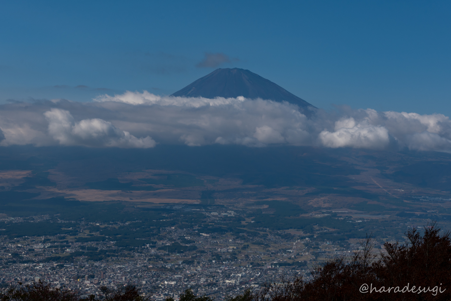 f:id:haradesugi:20171105192819j:plain f:id:haradesugi:20171105192819j:plain