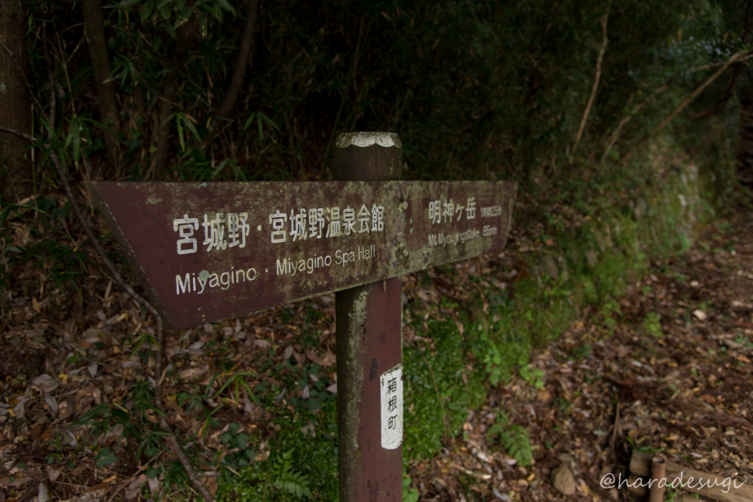 f:id:haradesugi:20171105193024j:plain f:id:haradesugi:20171105193024j:plain