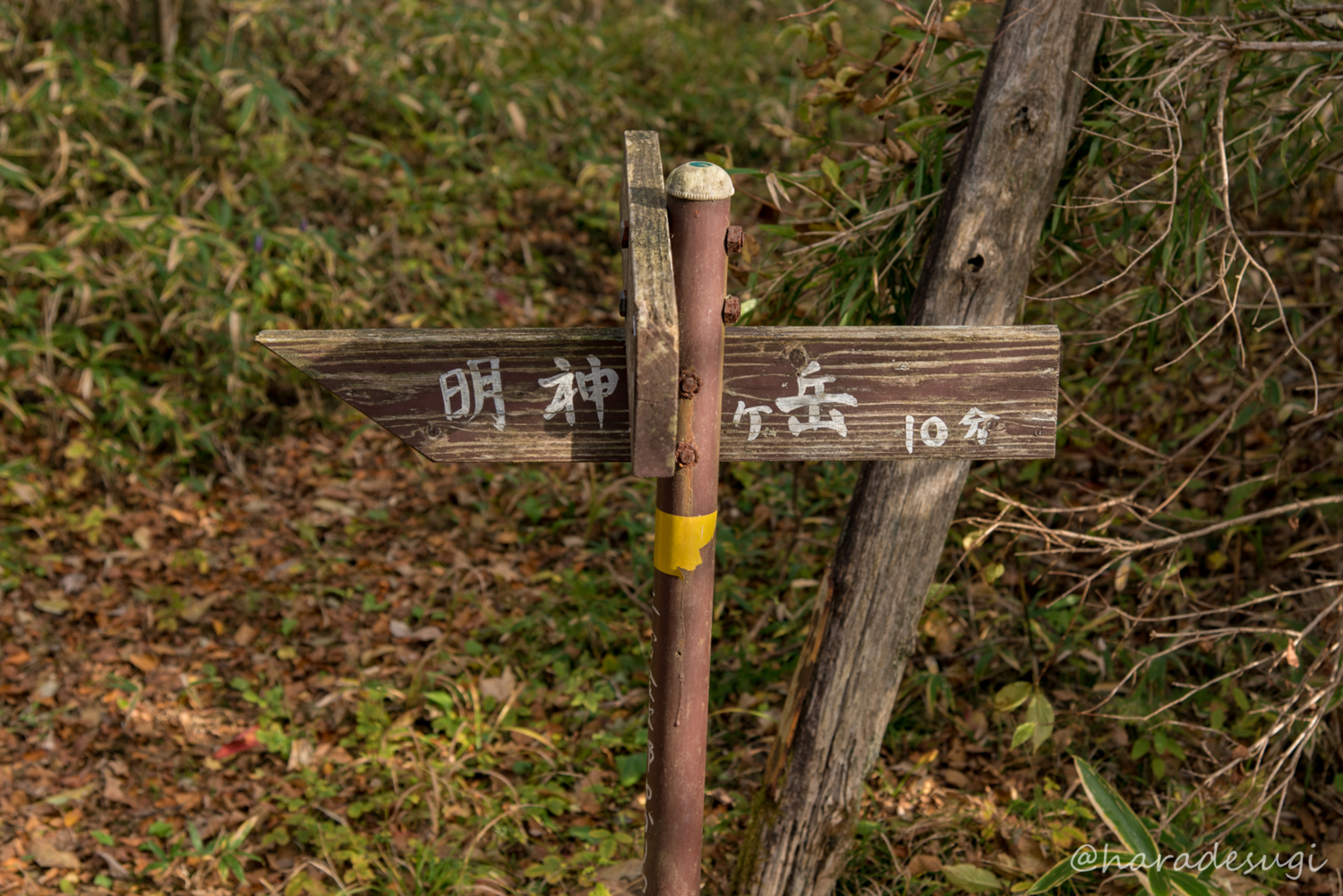 f:id:haradesugi:20171105193137j:plain f:id:haradesugi:20171105193137j:plain