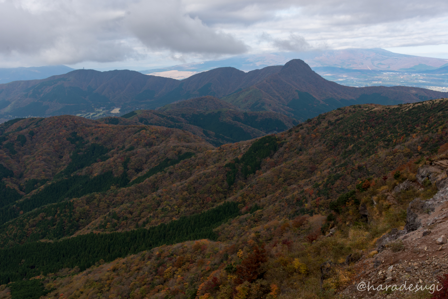 f:id:haradesugi:20171105193217j:plain f:id:haradesugi:20171105193217j:plain