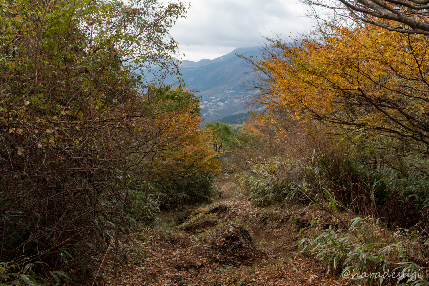 f:id:haradesugi:20171105193246j:plain f:id:haradesugi:20171105193246j:plain