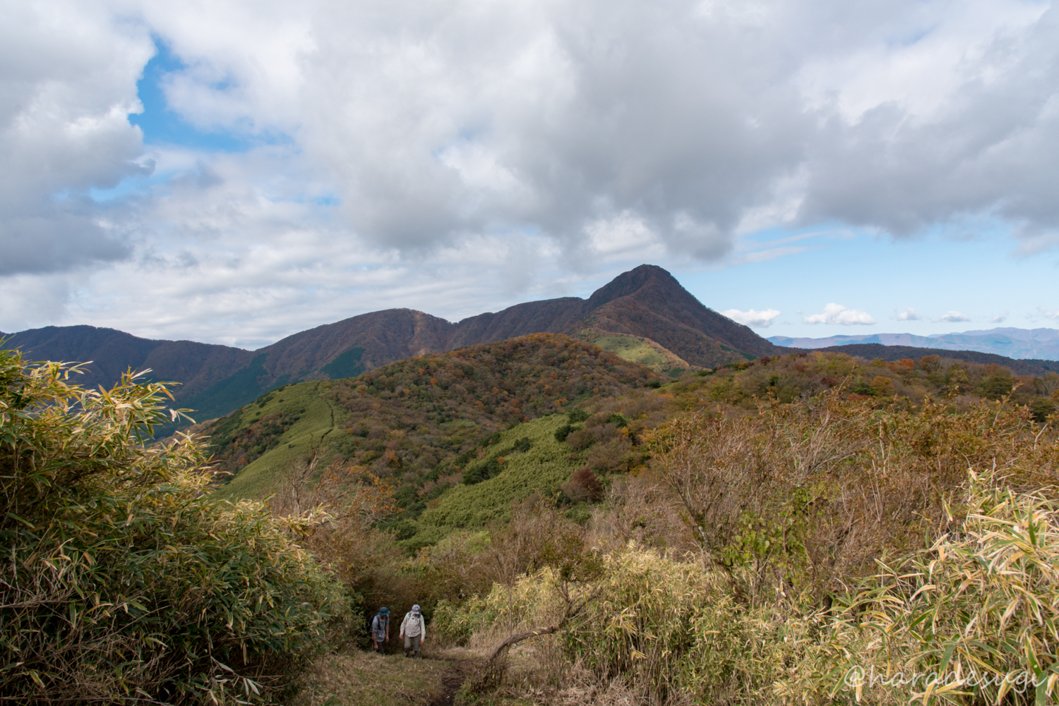 f:id:haradesugi:20171105193355j:plain f:id:haradesugi:20171105193355j:plain