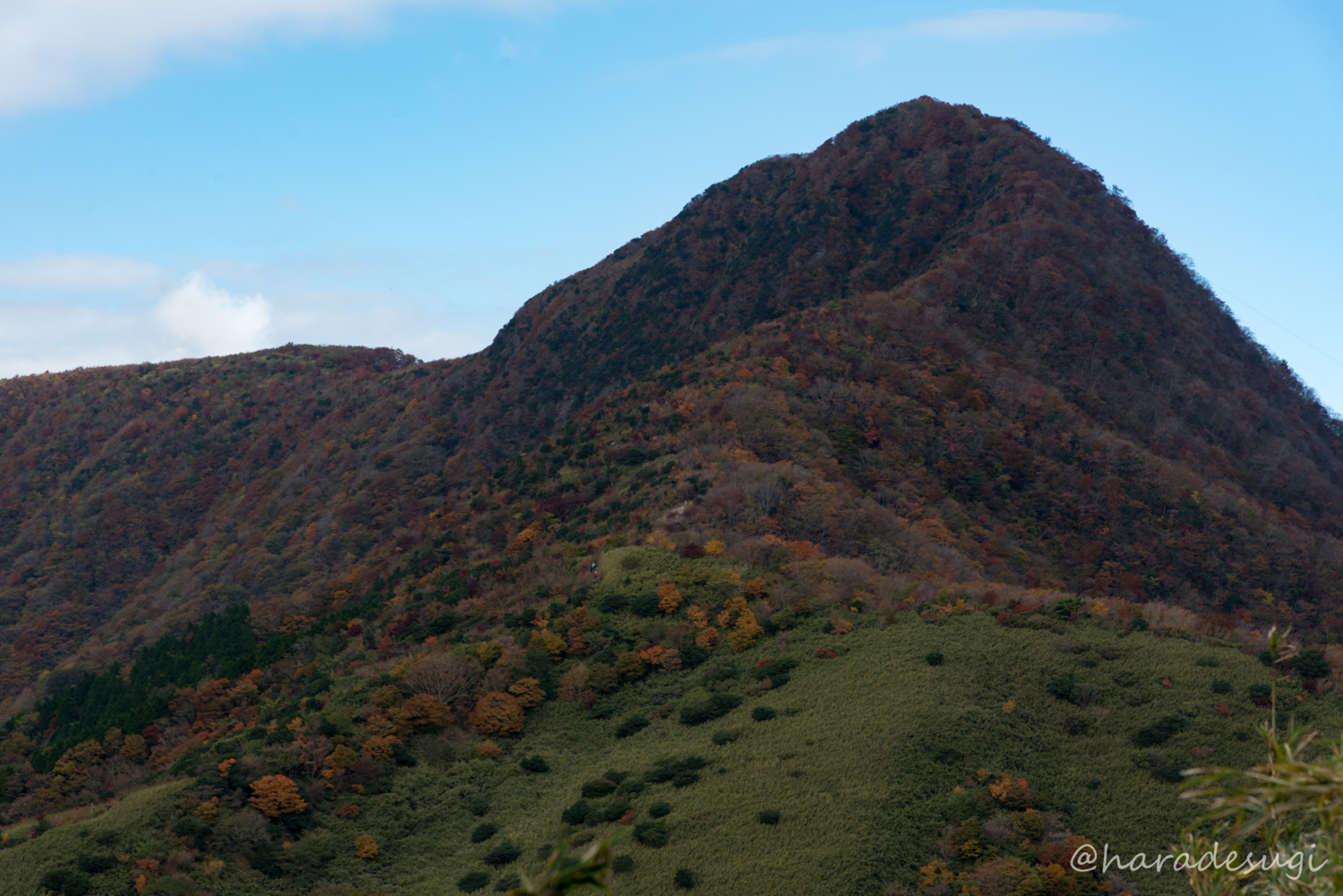 f:id:haradesugi:20171105193423j:plain f:id:haradesugi:20171105193423j:plain