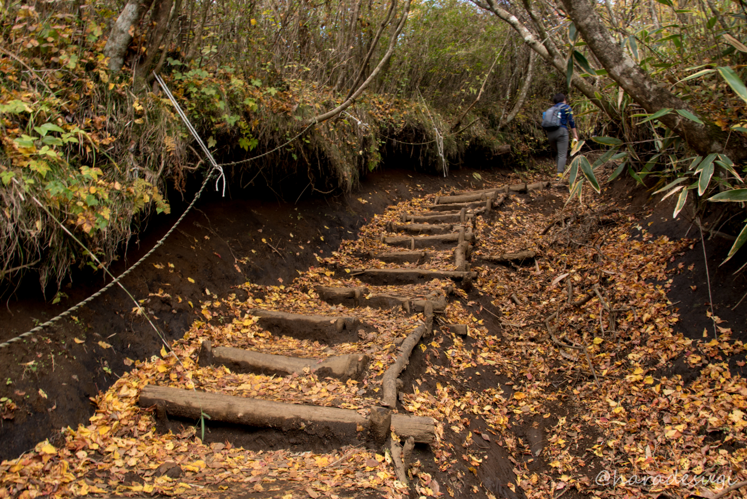 f:id:haradesugi:20171105193505j:plain f:id:haradesugi:20171105193505j:plain