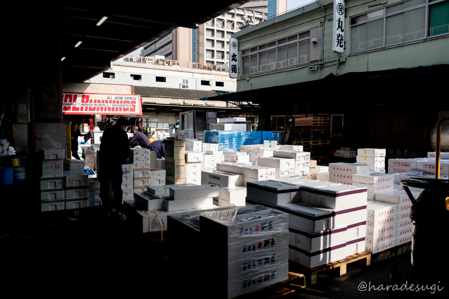 築地の場内市場に行ってきましたが色々とルールが変わっていて戸惑いました はらですぎ