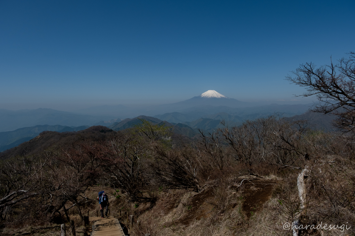 f:id:haradesugi:20180422213130j:plain