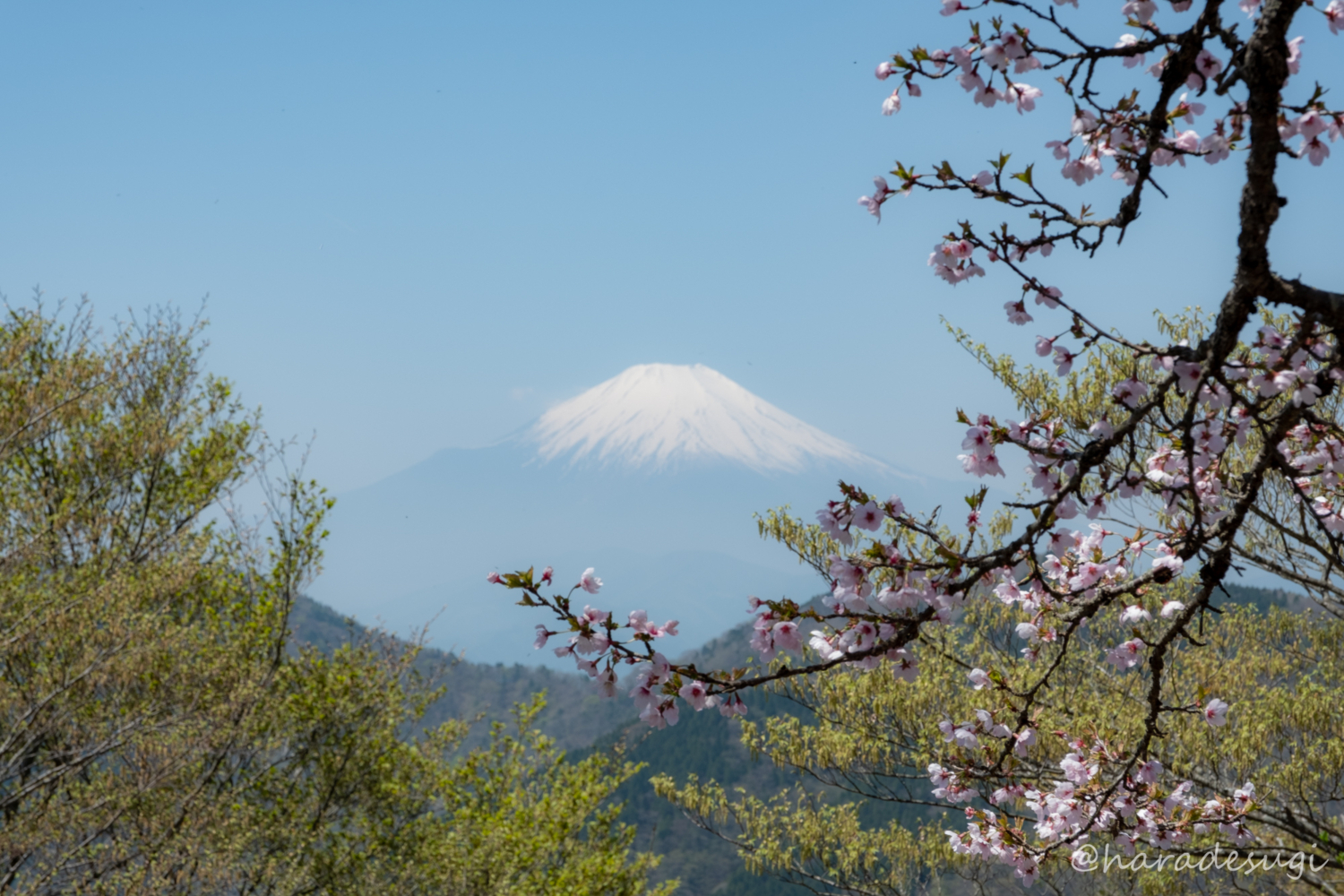 f:id:haradesugi:20180422214720j:plain