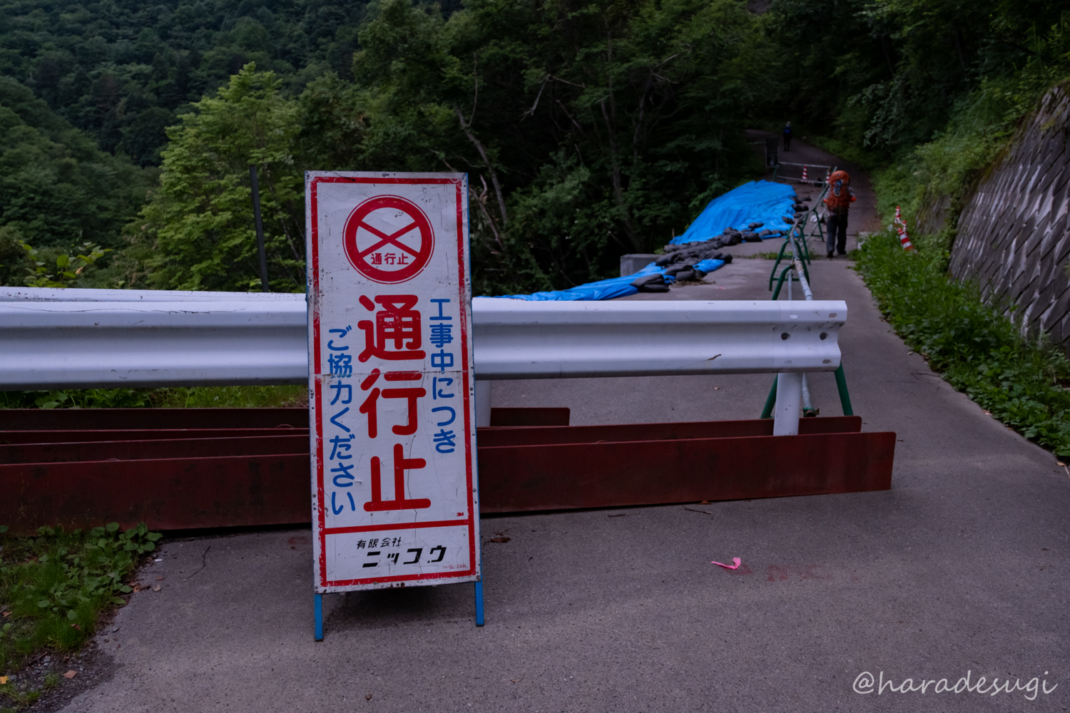 f:id:haradesugi:20180716093738j:plain