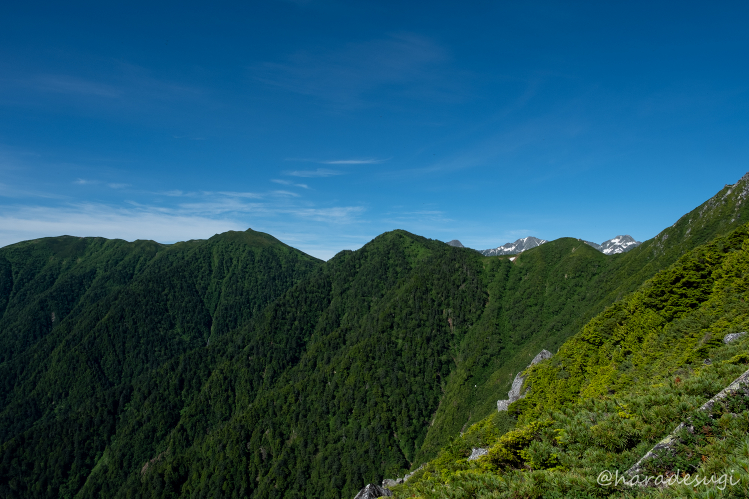 f:id:haradesugi:20180716094345j:plain