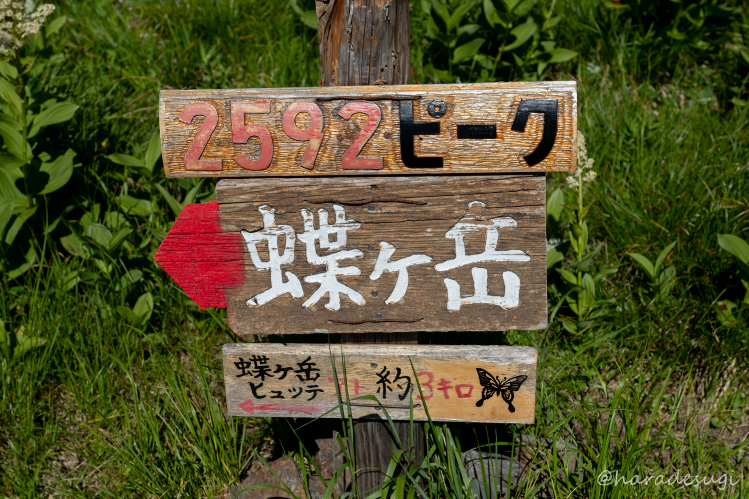 f:id:haradesugi:20180716094821j:plain