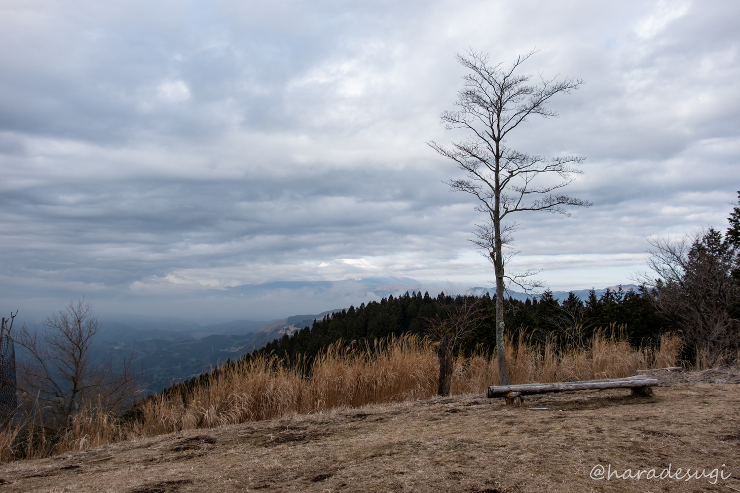 f:id:haradesugi:20190222051442j:plain