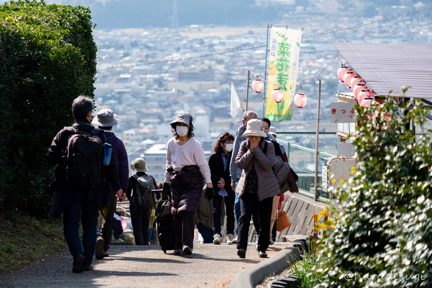 f:id:haradesugi:20190222052239j:plain