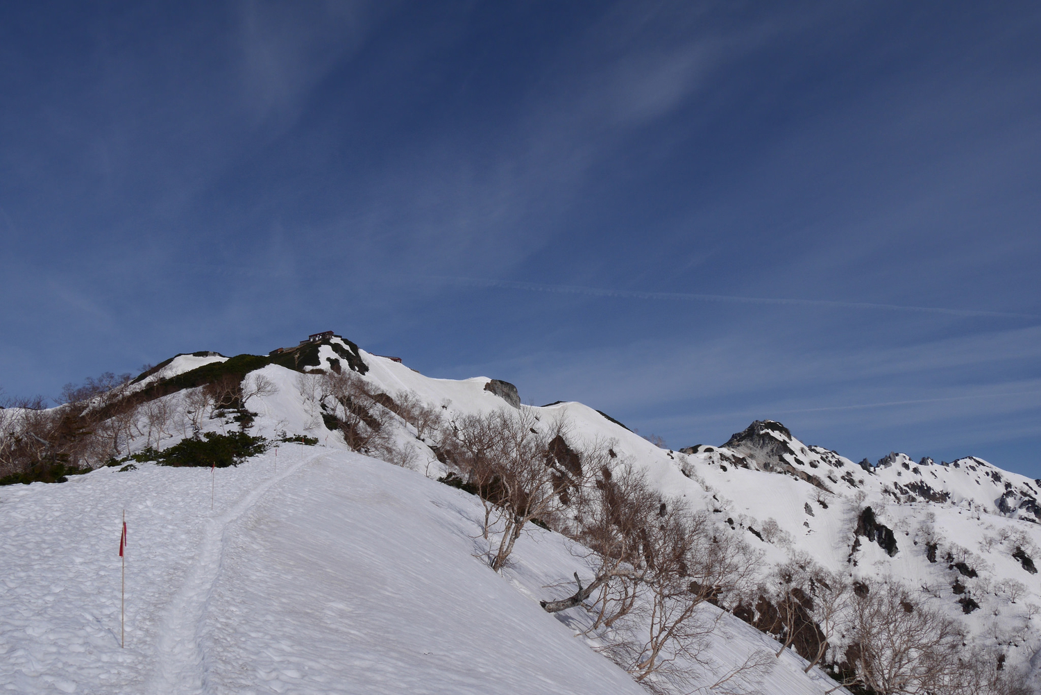 f:id:haradesugi:20190321113644j:plain