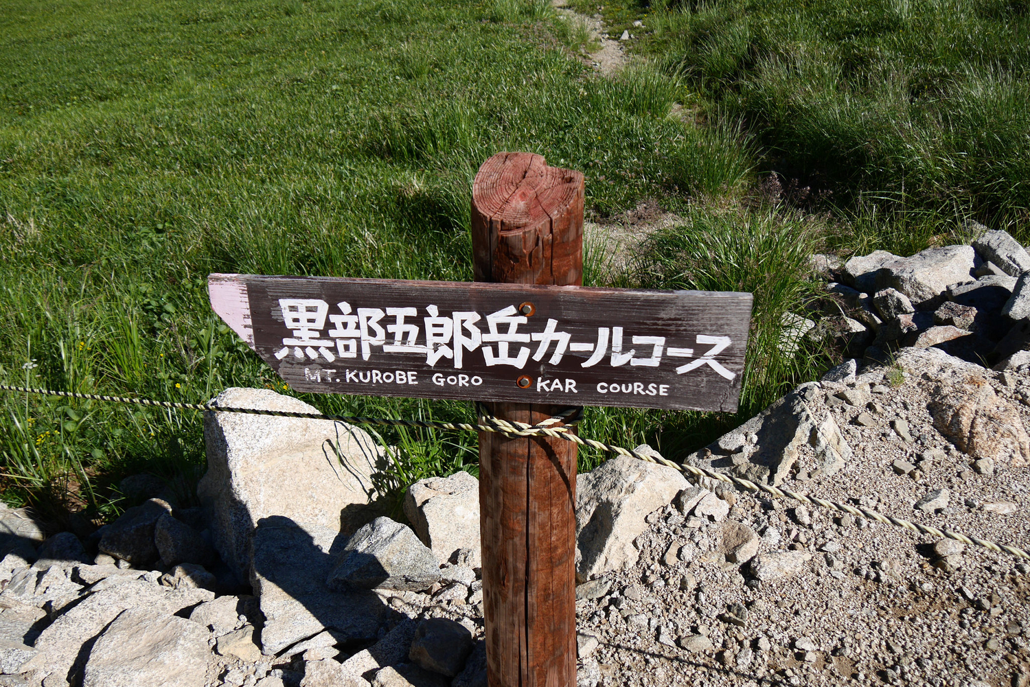 f:id:haradesugi:20190325051646j:plain f:id:haradesugi:20190325051646j:plain