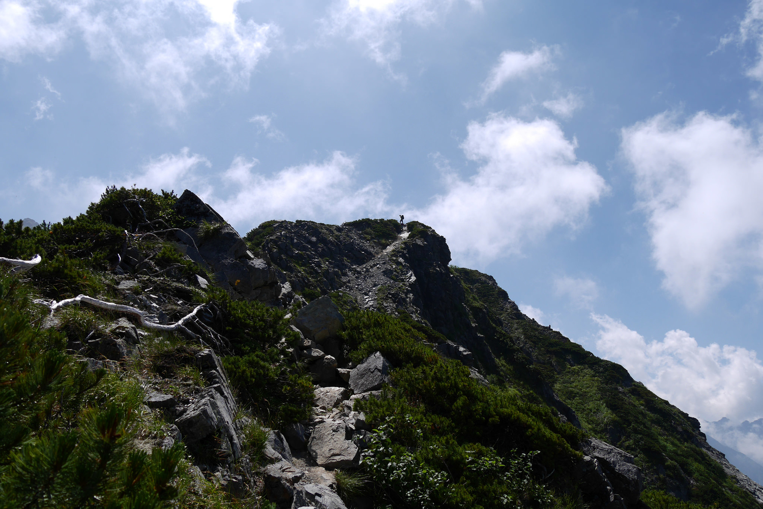 f:id:haradesugi:20190325053556j:plain