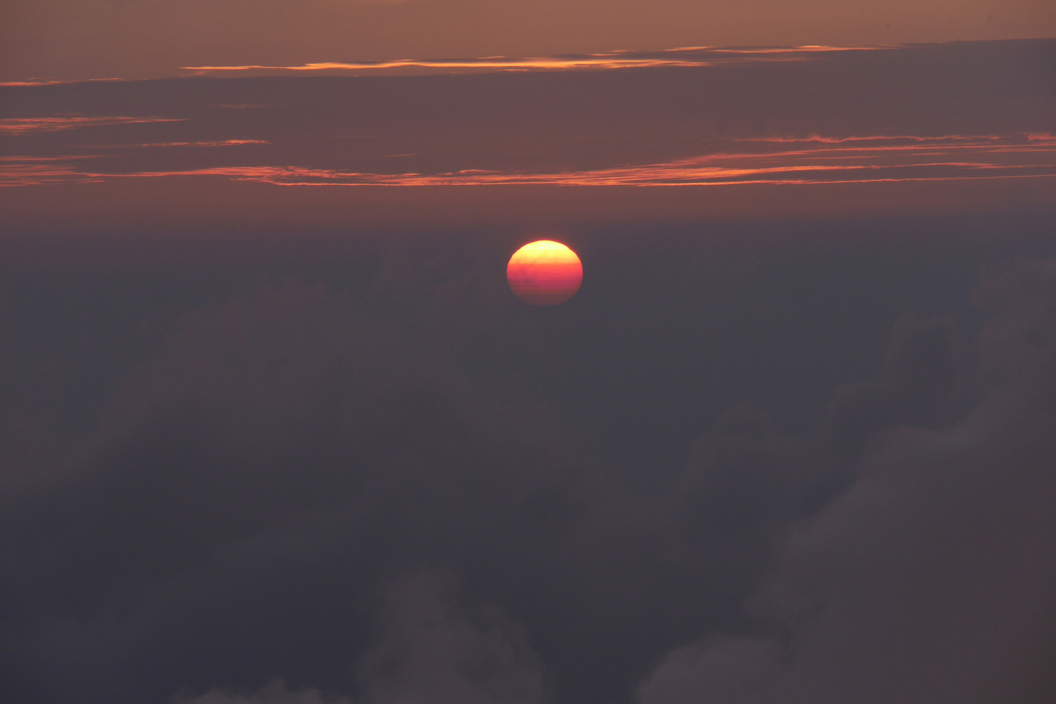f:id:haradesugi:20190325053903j:plain