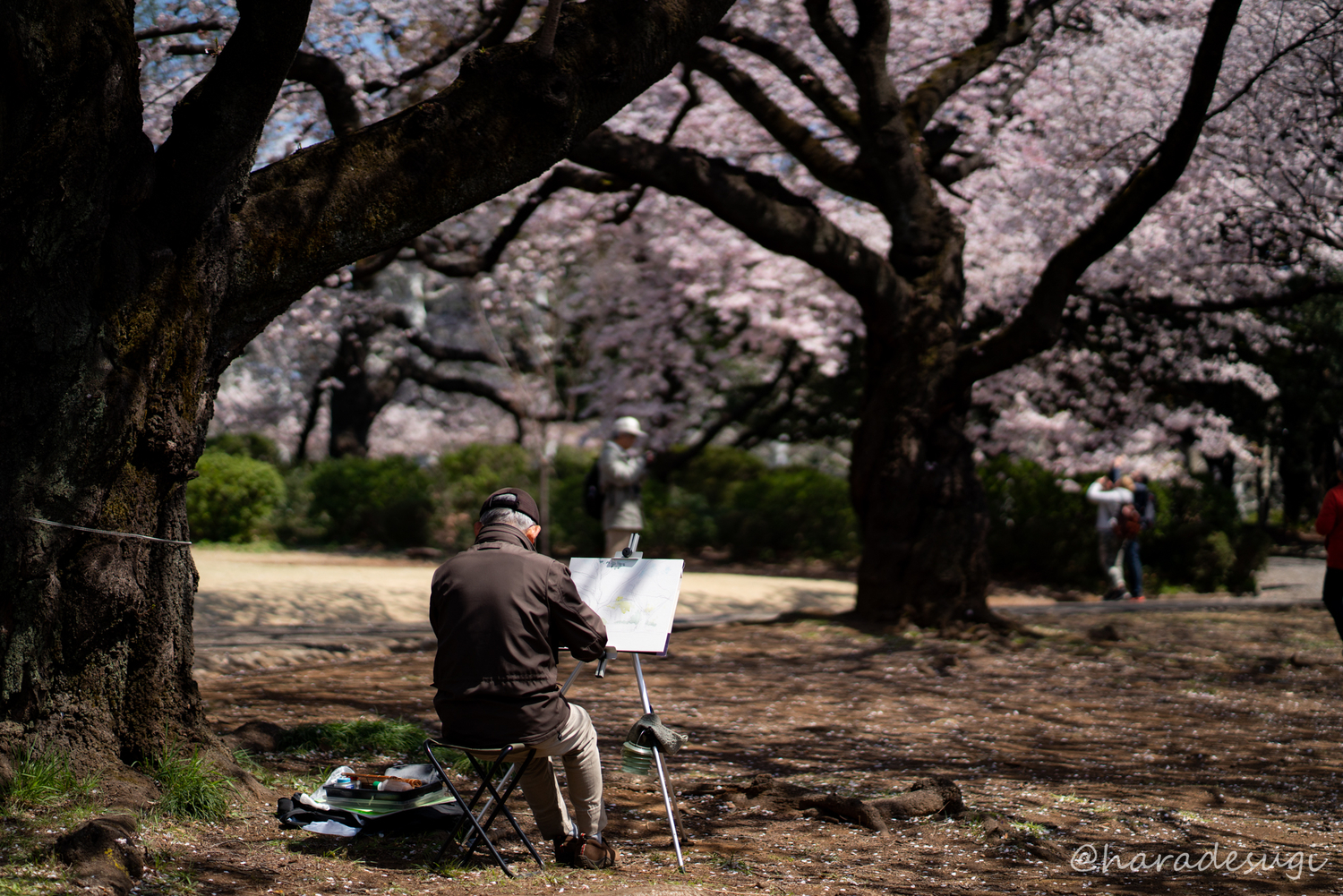 f:id:haradesugi:20190404045207j:plain