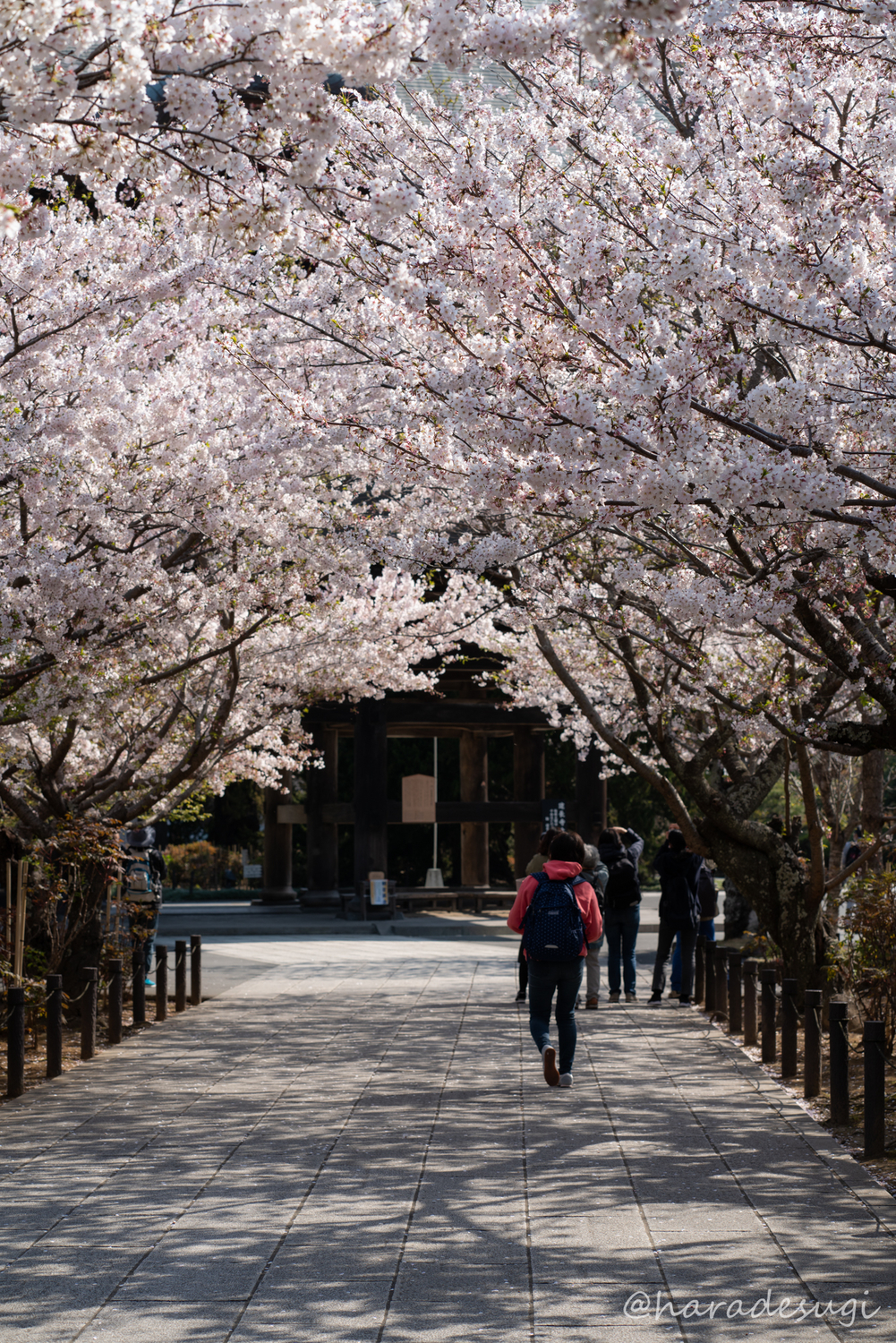 建長寺