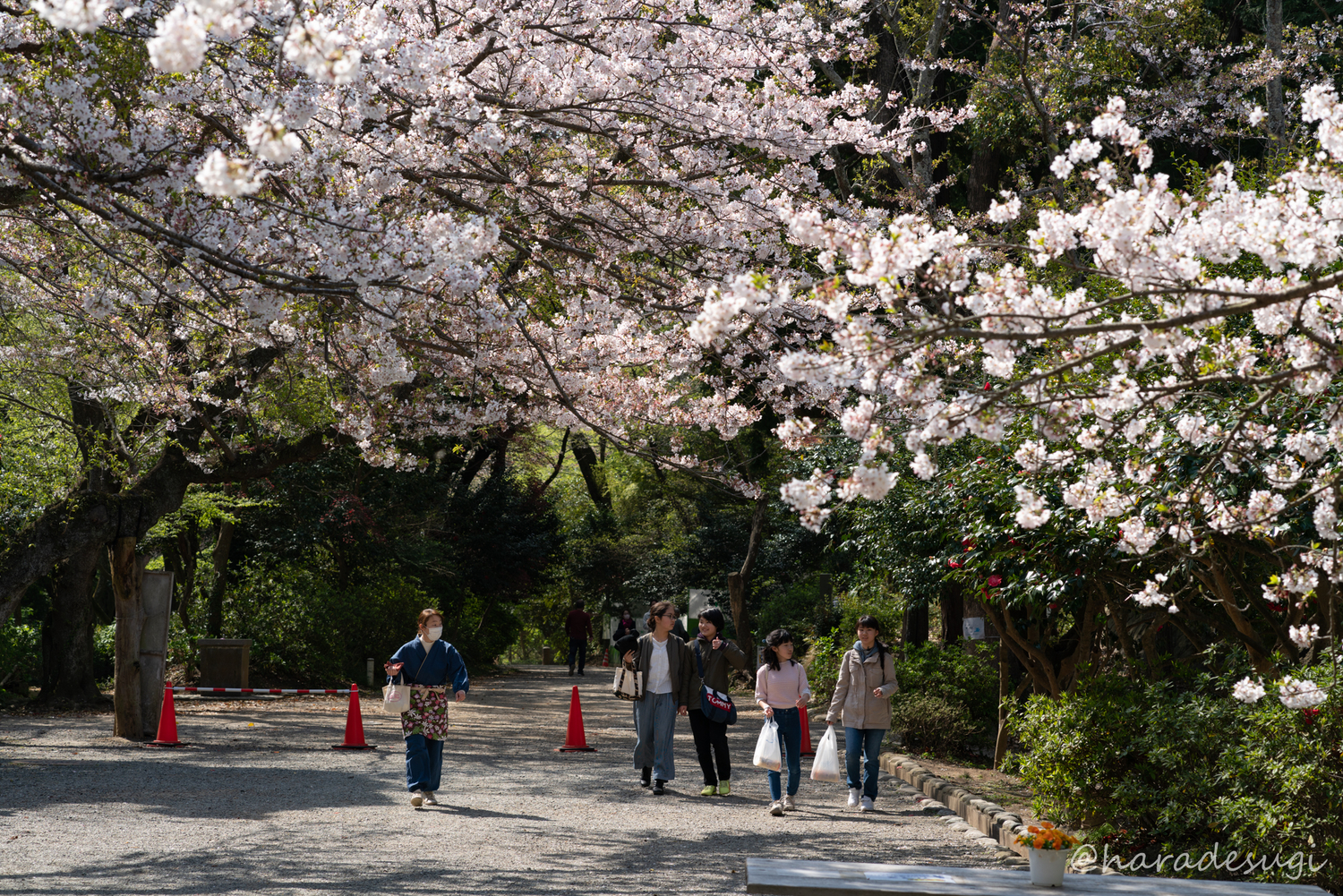 葛原岡ハイキングコース