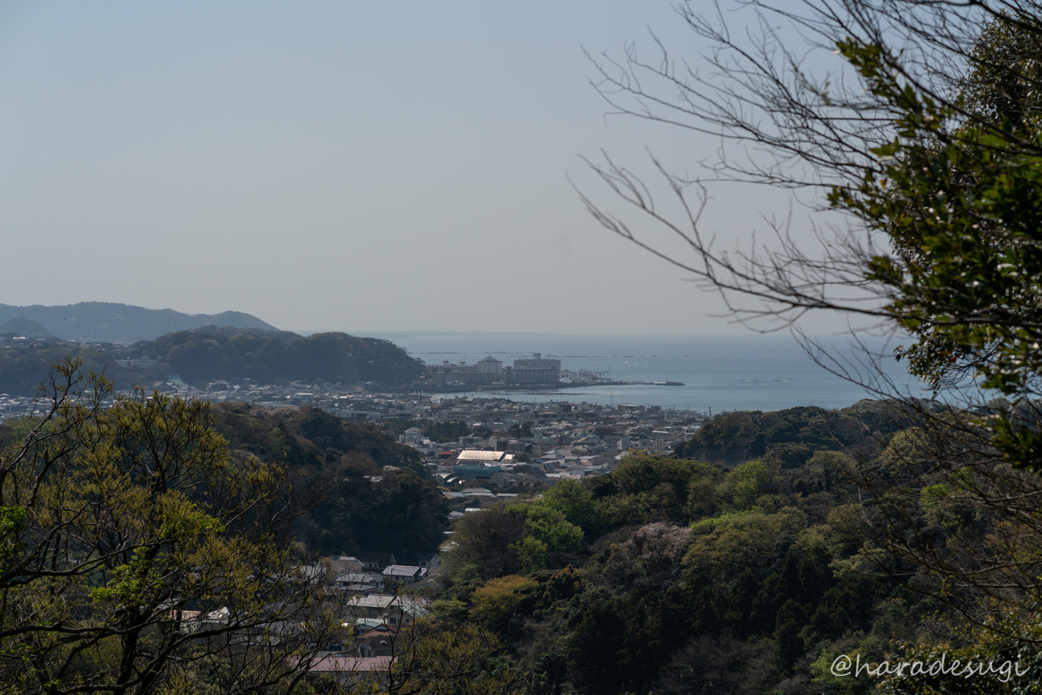 大仏ハイキングコース