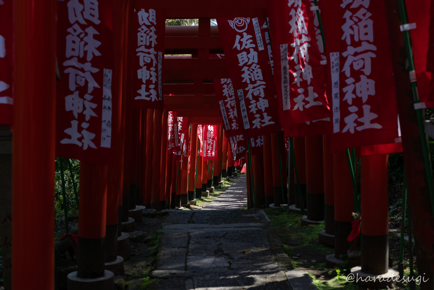 佐助稲荷神社